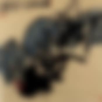Lotus (preview)