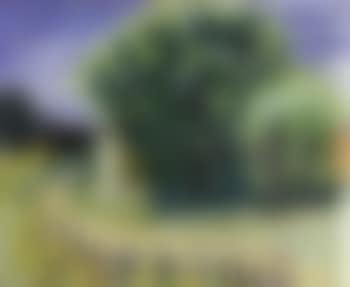 Old house with willow (preview)