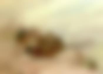 Views of India (preview)