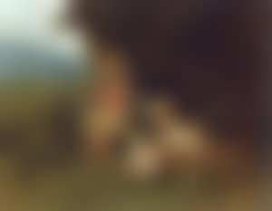 Herder with a goat and kid in a landscape (preview)