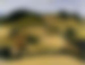 Hilly landscape with fields of grain (preview)