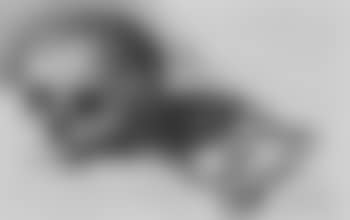 Vanitat still life (preview)