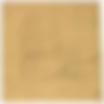 Landscape with bare trees in the wind (preview)