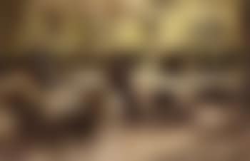 Coffee garden (preview)
