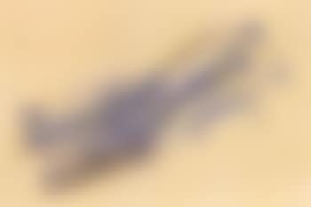 Untitled (preview)