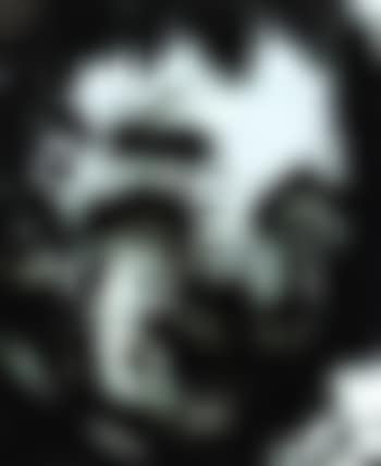Goya series (preview)