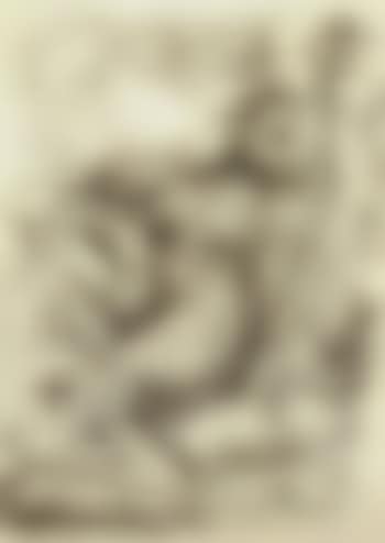 Untitled (preview)