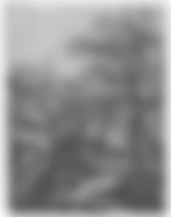 Mill (preview)