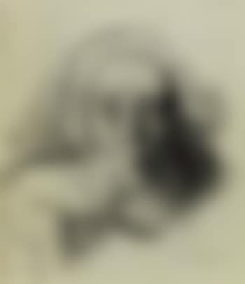 Self portrait (preview)