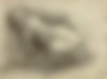Reclining female nude (preview)