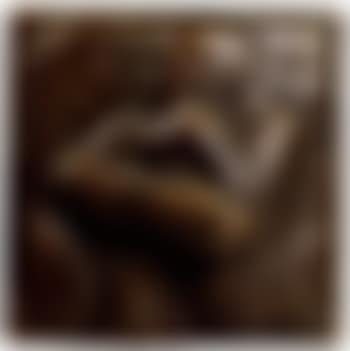 Mother protecting child II (preview)