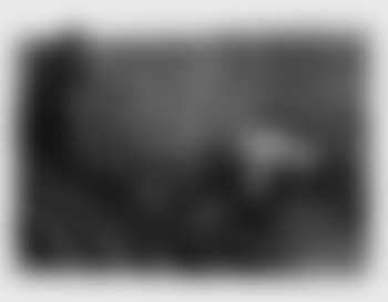 Pulling the plough (preview)