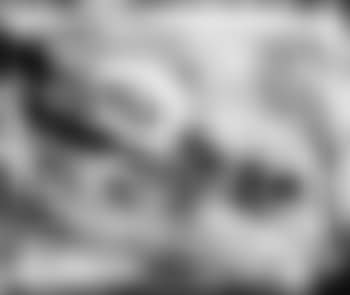 La Celestine fuit sous la lune (preview)