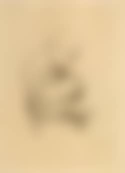 Beggar lady (preview)