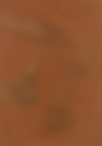 Study of hands for the portrait of Amy Gaskell (preview)
