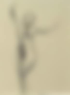Figure (preview)