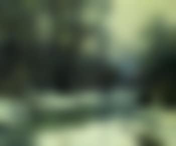 Sylvan stream (preview)