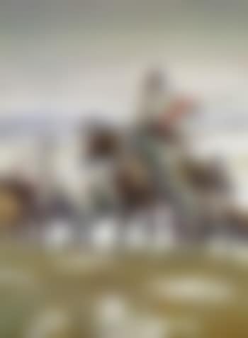 Crow scouts in winter (preview)