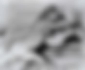 Two female nudes (preview)