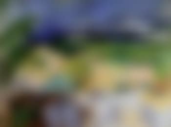 Coastal landscape near Cassis (preview)