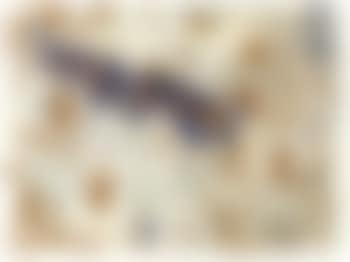 Blue berries (preview)
