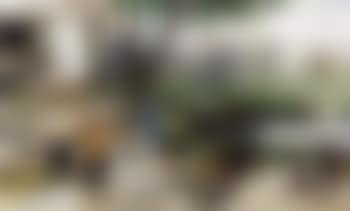 Poultry on a farmyard (preview)