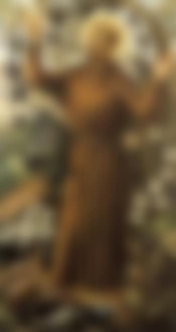 St. Francis of Assisi (preview)