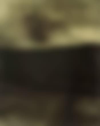 Northland (preview)