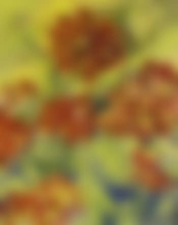 Dahlias (preview)