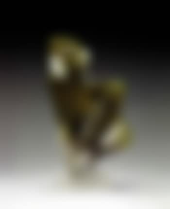 L'anti fleur (preview)