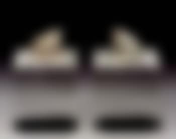 Paire de grenouilles (preview)