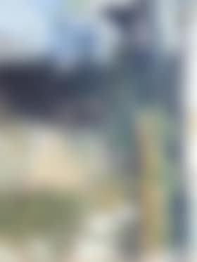 Behind sunflower I (preview)