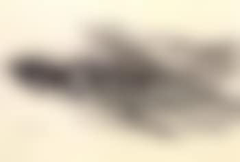 View of Schamusch (preview)