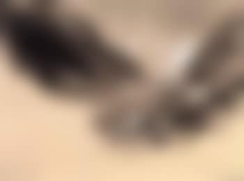 View of Bezingithal (preview)