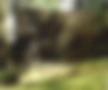 Omer (preview)