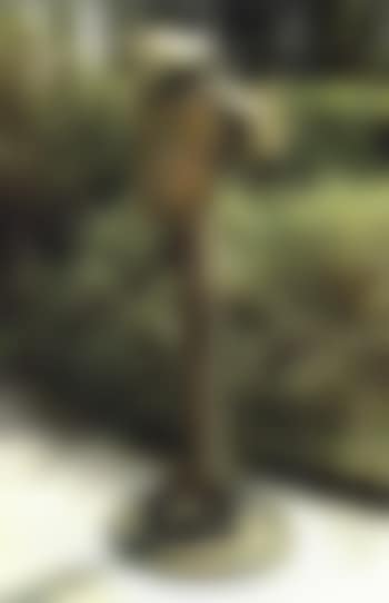 Grande tete de centaure (preview)