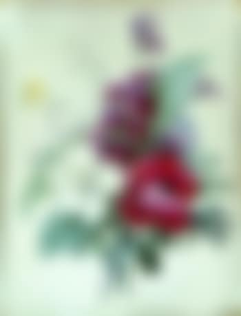Bouquet de fleurs avec muguet, capucine et bouton d'or (preview)