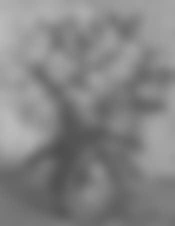 Still life of daffodils in a vase (preview)