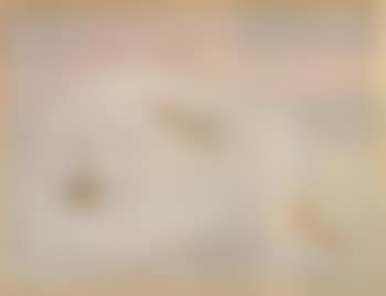 Fillette a la poupee (preview)