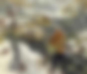 The fisherman (preview)