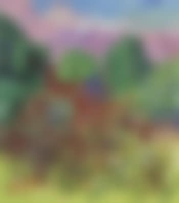 Summer meadow - North Koster (preview)