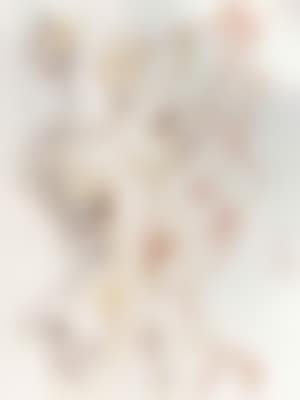 Trois Plantes (preview)