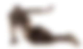 Le cabinet Anthropomorphique (preview)