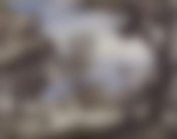 Shepherd scene (preview)