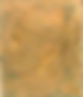 Portrait of a woman (preview)