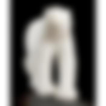 Ours blanc (preview)