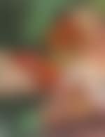 Nocturne (preview)