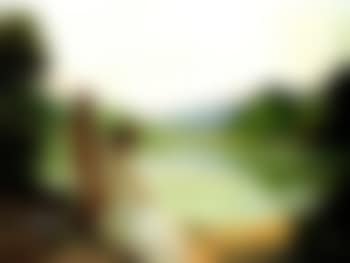 Summer evening (preview)