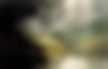 The banks of Loch Etive (preview)