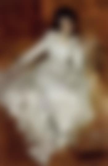 Portrait of a society lady (preview)